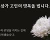 전교조 강원지부, 서울 사망 교사 애도