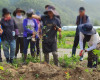 우수 후계농업인 육성사업 실시