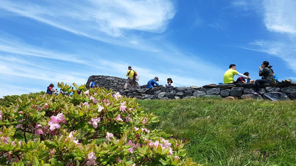 bg-mt-taebaek-spring.jpg